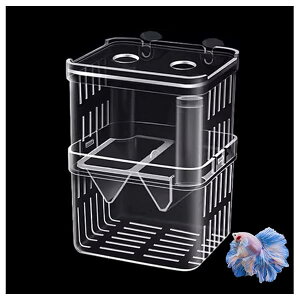 yz13x10x8cm uP[X YP[X  ɐBu{bNX 2i Gr_JzY @\ Obs[ t u ی كANZT @\  ɐBu{bNX  z