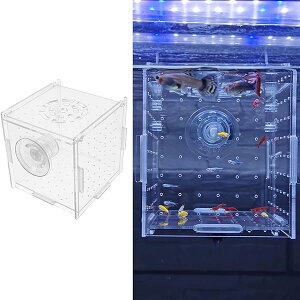 yzɐBu{bNX t 10x10x10cm AN Yz uی ώ@֗ ȃXy[X Gr _J zՕt