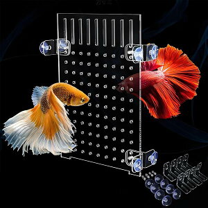 yz Zp[^[ d؂  p u  @\ 甠 Xvb^[ ̍{Bp m̌܂hx^^NA NZT[ AN zՕt 