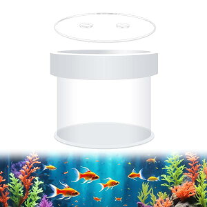 yzpt[eBOu[_[{bNX V甠 tی P[X   ɐBu{bNX YɐBu{bNX  VŒ莮 t g₷ 