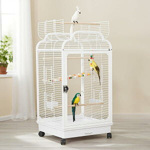 yz O㓧ANpl юUh~ o[hP[W S  I[vgbv |₷ CR P[W ZLZCCR IJCR  {^CRKp (z