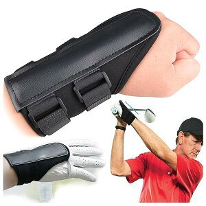 yzyR[`ďCz St XCOK  Œ  ̐n St̗K ł StK S҂łS vSt@[ ACA̐x TCY