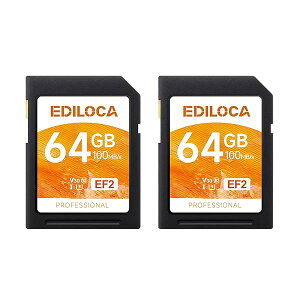 yzEF2y2Zbgz64GB SDJ[h UHS-I Class10 U3 V30  őǎ摬x 100MB/s ő发x 45MB/s J[h 4K/tHDΉ