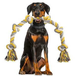 yzXXL ^  [v 6mbg  ߋ [v قډȂ 100cm Xg