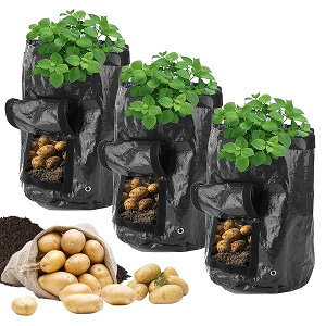 yz͔| ؍͔|obO 3Zbg 10K v^[ PEf A Aؔ 