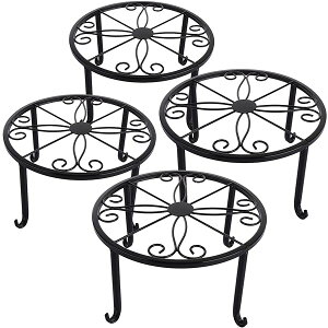 yzt[X^h ACA ԑ a:23cm 11.5cm  Aؔ Lrtu