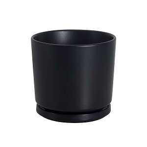 yzAؔ 픫 14cm 󂯎Mt  t  v^[ 5 A C