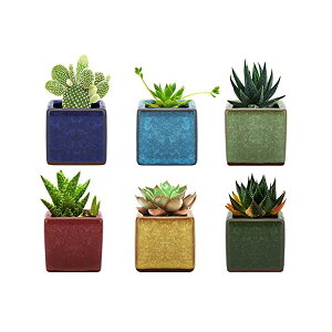 yzAؔ 6 A|bg v^[ 픫 ~  CeA ~