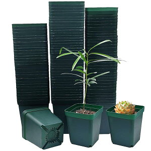 yzc|bg 8cm 100 ` c|bgAAؔ vX`bN A A