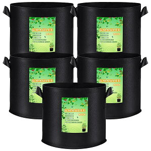 yzsDzv^[ ͔| z 10K5Zbg tFg A A琬 