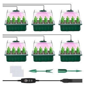 yzc|bg cgC 6Zbg 72 A琬Cgt c ܂|b