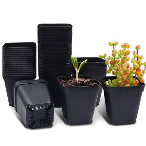 yzc|bg 3 40Zbg h~ Ap PPvX`bN Xbgr