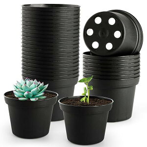 yzϗtA A 2.5 ~jv^[ 60Zbg rt PPvX`bN