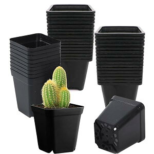 yzc|bg A琬Jbv c|bgy40Zbgzv v^[ Aؔ