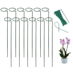 yzy12ZbgzAx Ԏx |x 鐫A ϗtx U x 40cm/45c