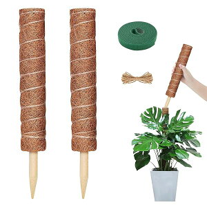 yzXe x ϗtA |x鐫A ϗtA RRibcx A