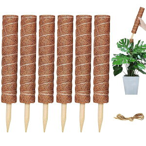 yzXe x ϗtA |x鐫A ϗtA RRibcx A