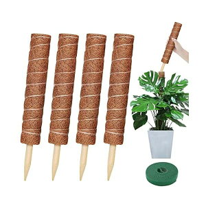 yzXe x ϗtA |x鐫A ϗtA RRibcx A