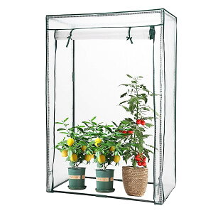 yzrj[nEX ƒp rj[ ^ ƒ؉ //J/΍  r