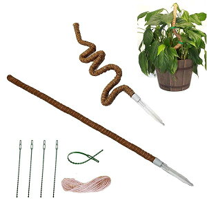 yz|x ϗtA 2{110cm 60cm 1{2mЂ 5{oht Xe 