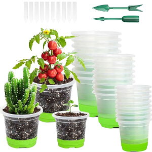 �y���������z��c�|�b�g 24�Z�b�g ��q�g���C �琬�|�b�g �� �\�t�g�V���R���x�[�X �V���