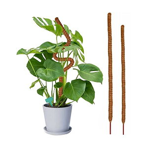 yz2{Zbg |x Ax ϗtx 鐫A ϗtA T|[g U x