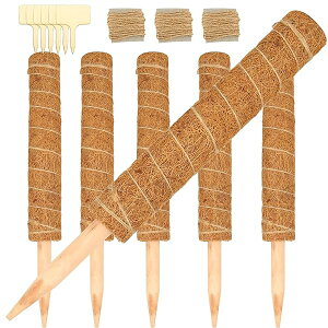 yz6{Zbg |x 40cm Xe x wSx Ax Ԏx RRibc