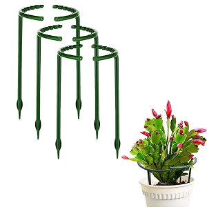 yz| x(6Zbg)Ax Ԏx ϗtx 鐫A K[fjOpx