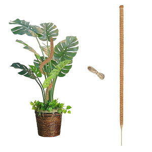 yzϗtA x GRth[ VRf wSx RRV@ۖ_ |x