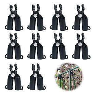 yz|xNbv11mmΉ y10zxWCg ||[NXRlN^