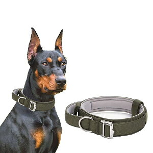 yz  iC \ nht P  ^ ^ т U