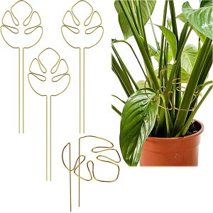 yzAT|[g |x Xe x jx T|[g Ԏx A