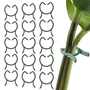 yzm ApNbv 60 AxNbv |Nbv ڂ؃Nbv