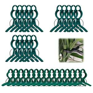 yz|Nbv x U Œ K[fjO ʕ̈琬 |p _Ɨp ږ