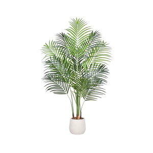 yzytFCNϗtAAJV 150cmzptFCNO[ ^C13tt