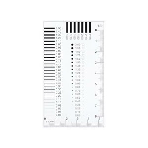 yzx SECTCY`[g obWQ[W K a胋[[ 