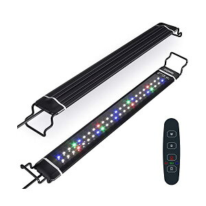 yzƖ LEDCg Cg ANAECg MыCg ^C}[(6/10/