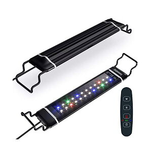 yzƖ LEDCg Cg ANAECg MыCg ^C}[(6/10/