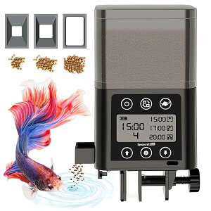 �y���������z�������a�� �� ���������a�� �I�[�g�t�B�[�_�[ �� ���_�J �M�ы� �a �a����