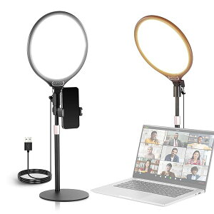 �y���������zBASICS R10 ��ナ���O���C�g 15W LED�r�f�I���C�g �����\ 3000-6500K 880lx/0.5m 10.5�C��
