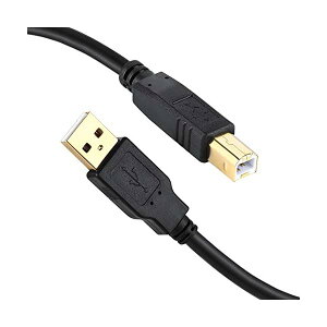 �y���������zUSB 2.0 �v�����^�[�P�[�u��10m A�I�X-B�I�X �����b�L�R�l�N�^Type B�ɃX�L���i�[�P