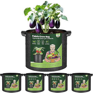 �y���������z�s�D�z�v�����^�[ �z�� ������t�� 5�K���� (19L) 30cm x 25 cm 5�Z�b�g �s�D�z�|�b