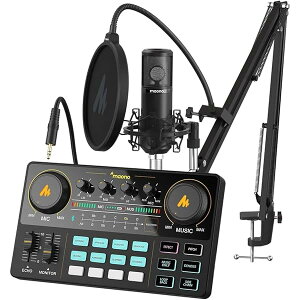 �y���������z�I�[�f�B�I�~�L�T�[ �I�[�f�B�I�C���^�[�t�F�[�X Mixer �|�b�h�L���X�g�X�e���I