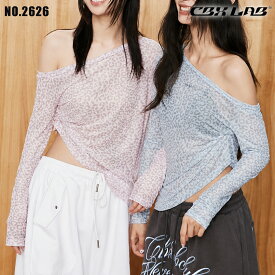 6/8限定★全品10%OFFクーポン! 【CBX LAB】レディース シアートップス レオパード柄 長袖 カットソー 韓国ファッション ダンス衣装 プルオーバートップス 透け感 軽量 ゆったり 薄手 重ね着 レイヤード 春 夏 秋 ストリート レッスン おしゃれ ピンク ブルー