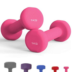 �_���x�� 2�Z�b�g 1kg/2kg/3kg/4kg/5kg �؃g�� �_���x�� �E�G�C�g �J���[ �_���x�� �S�A���C dumbbell ���������i����E�����͕ʓr����500�~�j