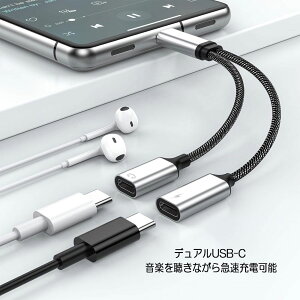 USB-C 1 TO 2 IXX Xvb^[ fAUSB-C wbhtH [dA_v^ ^CvC  Cz ϊA_v^ PD60W[d y𒮂Ȃ[d 