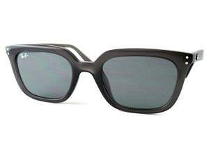 RayBan/���C�o��RB4439D�@667587�T���O���X-���K�i-�X�N�G�A�f�U�C��2024���f���y���ʉ��iSALE�z�艿24,420�~