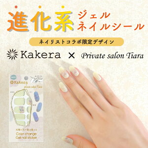 Kakera J[`FWWFlCV[ lCXgR{ private salon Tiara nh lCV[ \邾 dsv UVCgsv ZtlC S ȒP  lC UV`FbJ[ O