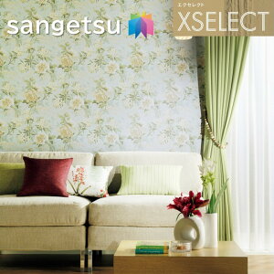 ǎ TQc ̂Ȃǎ GNZNg Sanderson SGB2397 XSELECT 2021-2024 NX fUC ǎ R[fBl[g