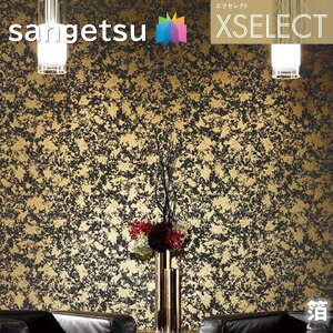 ǎ TQc ̂Ȃǎ GNZNg  SGB2117 @B蔓 XSELECT 2021-2024 NX fUC ǎ R[fBl[g